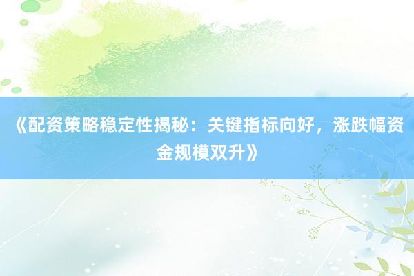 《配资策略稳定性揭秘：关键指标向好，涨跌幅资金规模双升》
