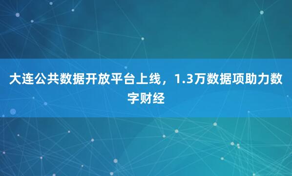 大连公共数据开放平台上线，1.3万数据项助力数字财经