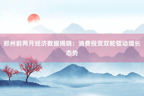 郑州前两月经济数据揭晓：消费投资双轮驱动增长态势