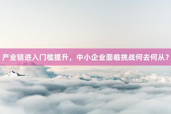 产业链进入门槛提升，中小企业面临挑战何去何从？