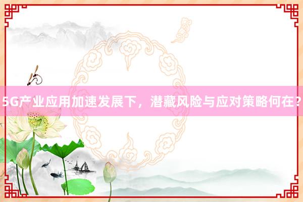 5G产业应用加速发展下,潜藏风险与应对策略何在?