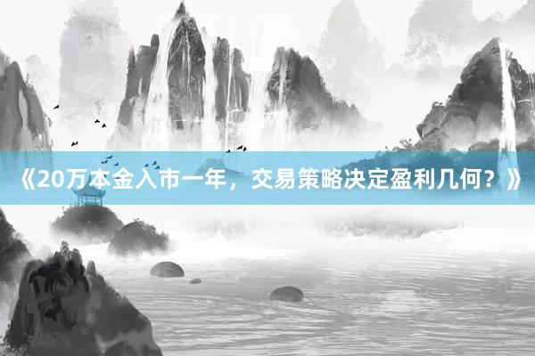 《20万本金入市一年，交易策略决定盈利几何？》