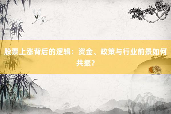 股票上涨背后的逻辑：资金、政策与行业前景如何共振？