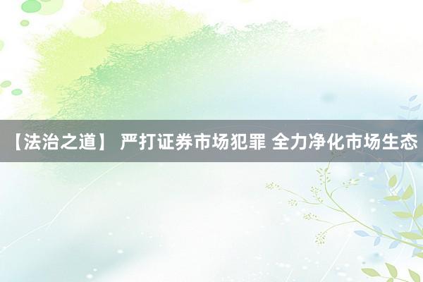 【法治之道】 严打证券市场犯罪 全力净化市场生态