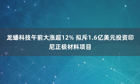 龙蟠科技午前大涨超12% 拟斥1.6亿美元投资印尼正极材料项目