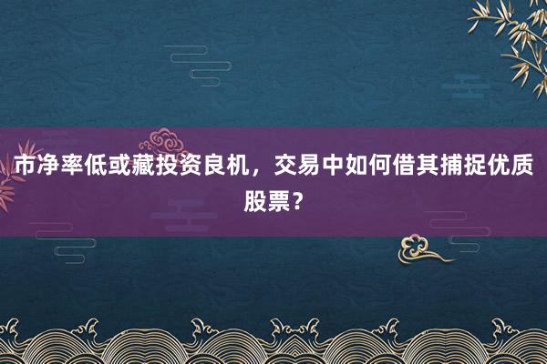 市净率低或藏投资良机，交易中如何借其捕捉优质股票？