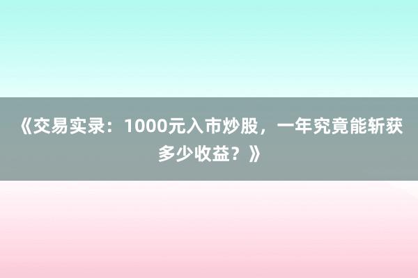 《交易实录：1000元入市炒股，一年究竟能斩获多少收益？》
