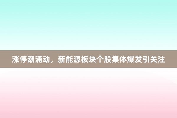 涨停潮涌动，新能源板块个股集体爆发引关注