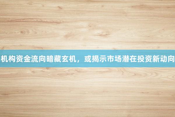 机构资金流向暗藏玄机,或揭示市场潜在投资新动向
