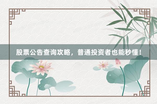 股票公告查询攻略，普通投资者也能秒懂！