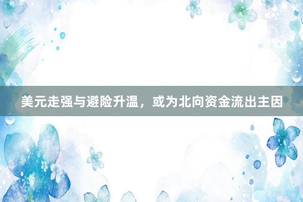 美元走强与避险升温，或为北向资金流出主因