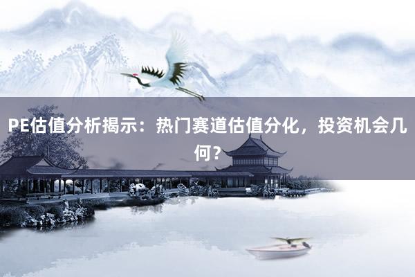 PE估值分析揭示：热门赛道估值分化，投资机会几何？