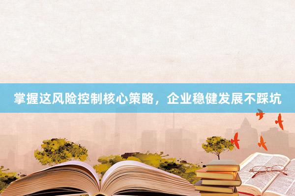 掌握这风险控制核心策略，企业稳健发展不踩坑