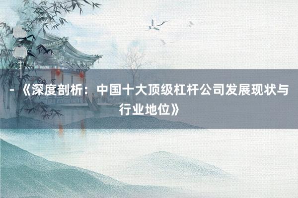 - 《深度剖析：中国十大顶级杠杆公司发展现状与行业地位》