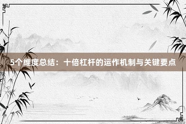 5个维度总结：十倍杠杆的运作机制与关键要点