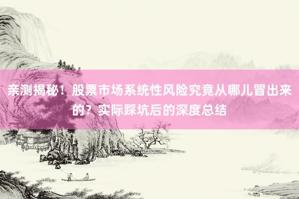 亲测揭秘！股票市场系统性风险究竟从哪儿冒出来的？实际踩坑后的深度总结