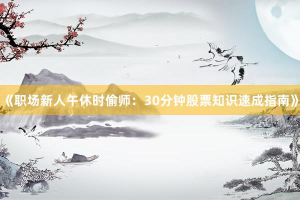 《职场新人午休时偷师：30分钟股票知识速成指南》